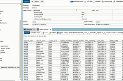 Accelerate Self-service Analytics with Universal Semantic Model