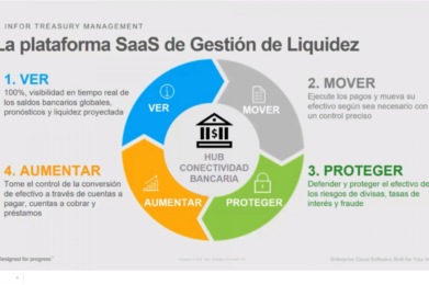 Gestión de Tesorería con Infor [Vídeo 40 mnts.]