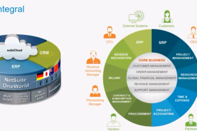 Netsuite para Servicios profesionales