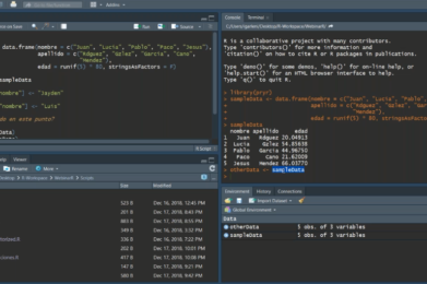 R: programación eficiente para Big Data